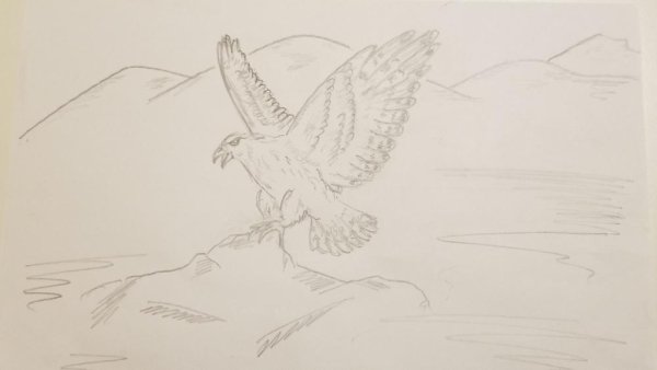 Финист Ясный Сокол рисование