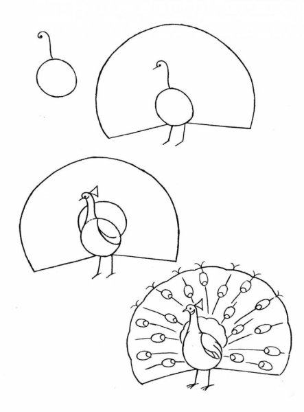 Павлин рисунок пошагово для детей