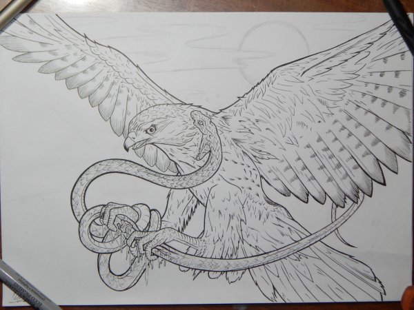 Орёл картинки нарисованные