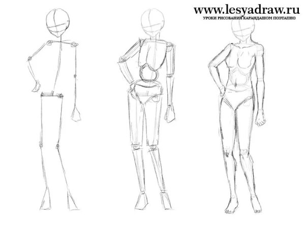 Зарисовки тела