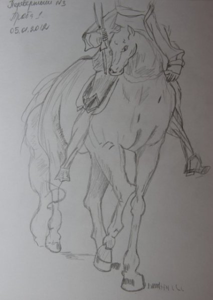 Всадник без головы читательский дневник