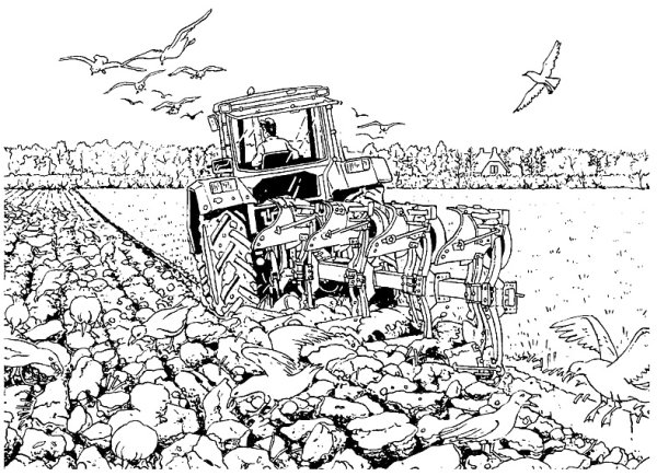 Раскраски сельское хозяйство для детей