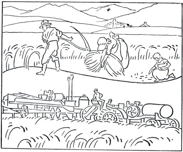 Раскраска поле