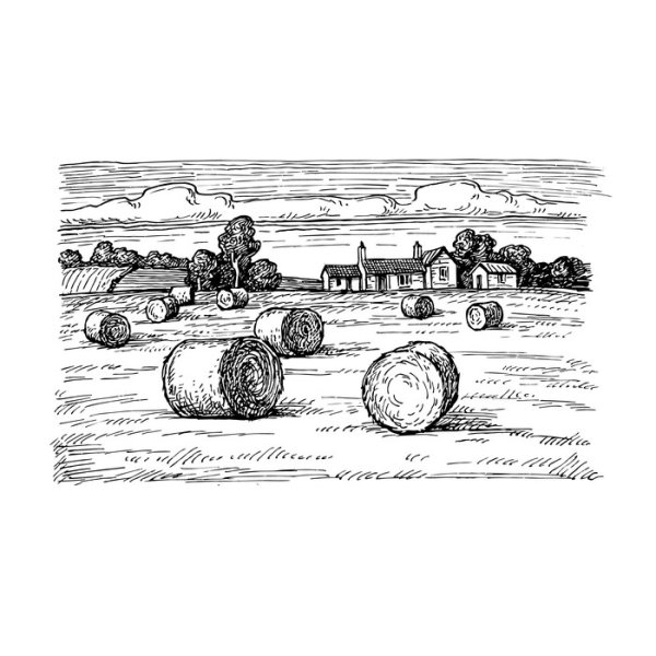 Сено Графика