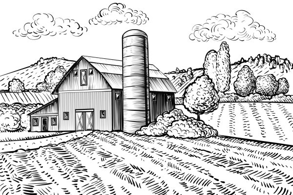 Сельское хозяйство карандашом