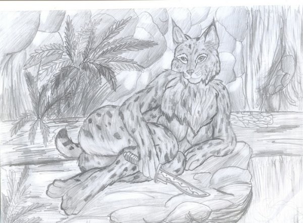 Рысь картинка для детей