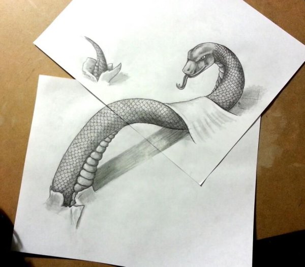 Оптические иллюзии для срисовки