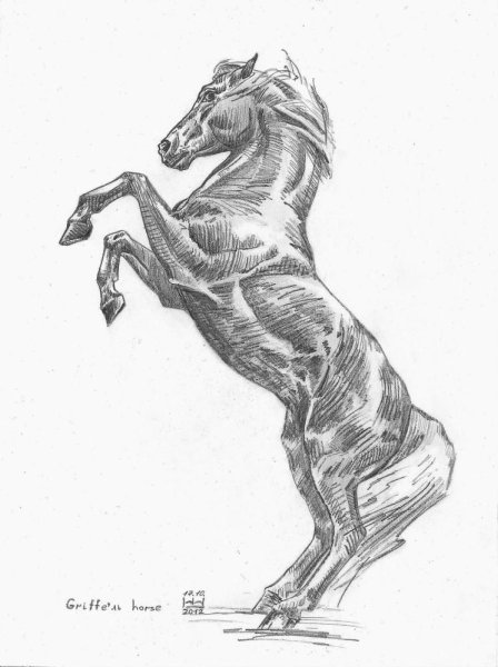 Лошадь на дыбах карандашом