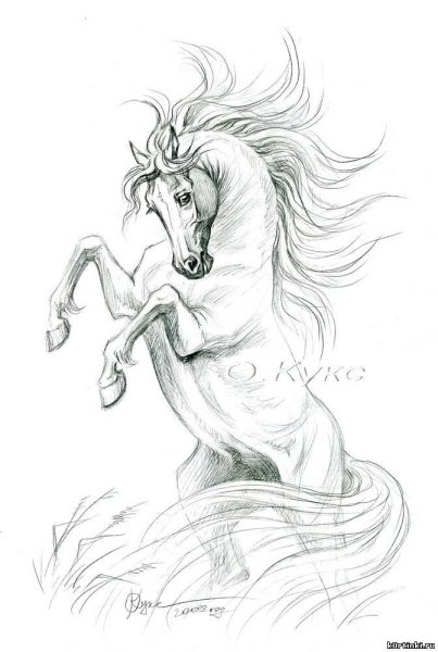 Лошадь эскиз