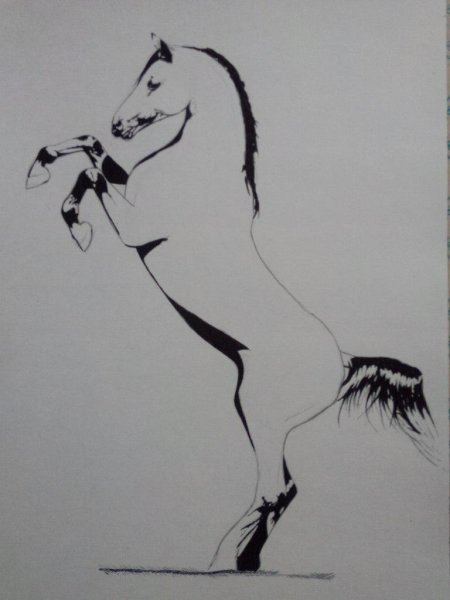 Раскраска лошадь на дыбах
