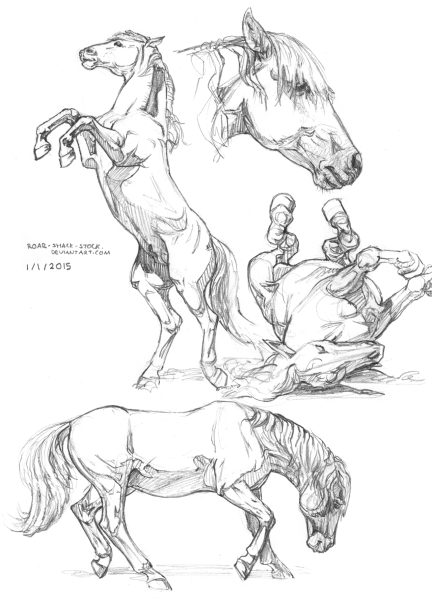 Мустанг лошадь рисунок карандашом