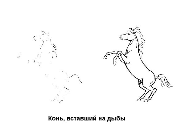 Раскраска лошадь на дыбах