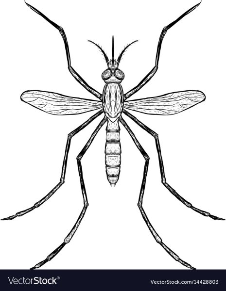 Комар раскраска для детей