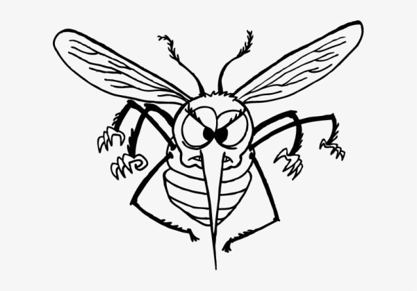 Комар раскраска