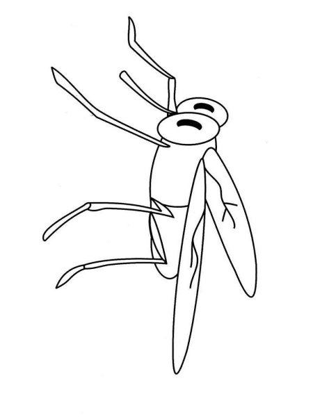 Комар черно белый