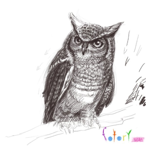 Белый Филин тату