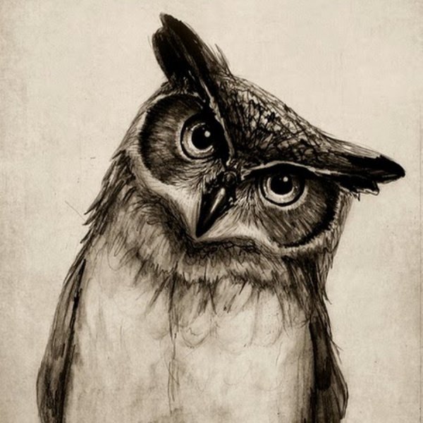 Сова карандашом