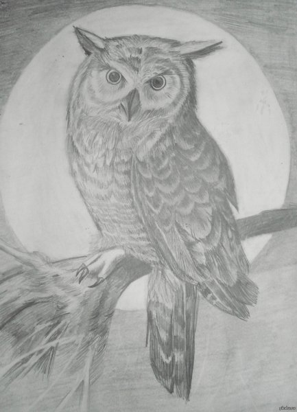 Букля из Гарри Поттера эскиз