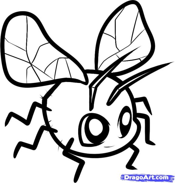 Раскраска Муха-Цокотуха