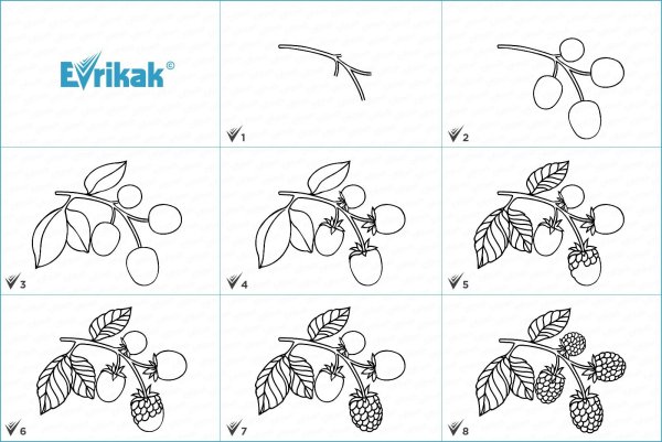 Раскраска земляника для детей 4-5 лет