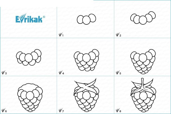 Раскраска куст клубники для детей