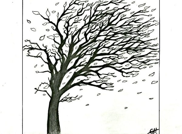 Иллюстрация к сказке Мороз солнце и ветер