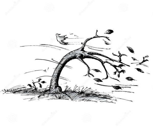 Ветер ураган