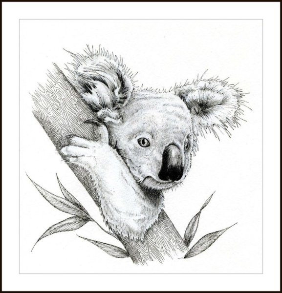 Стилизованная коала