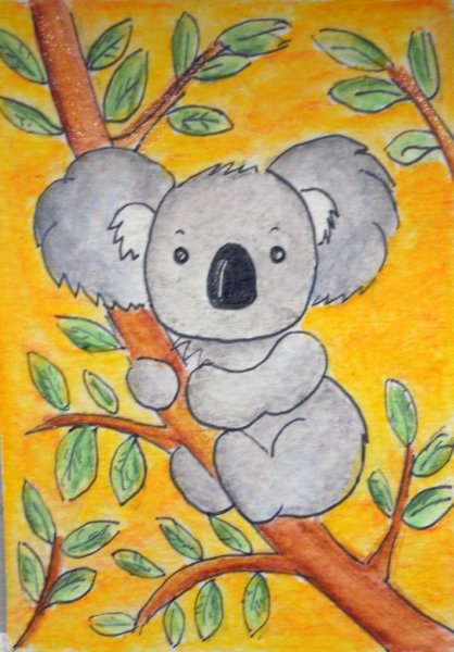 Коала набросок