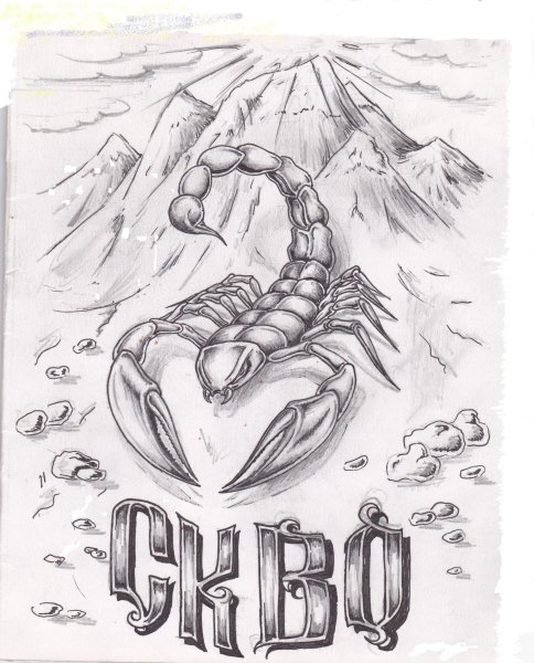 Зодиак Скорпион раскраска