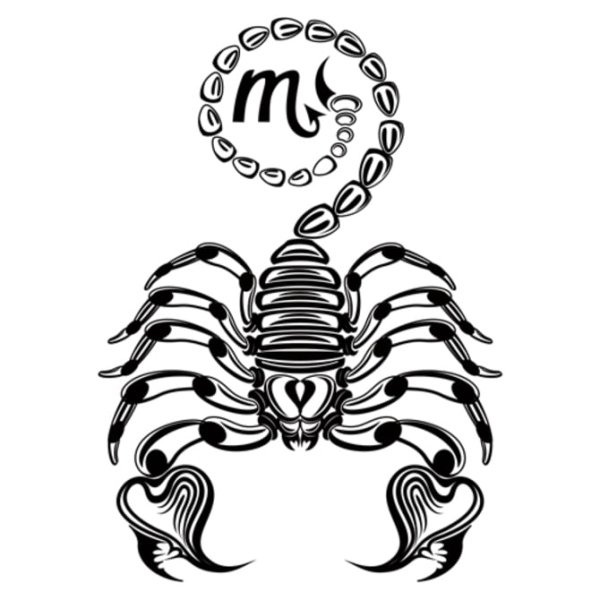 Скорпион раскраска для детей