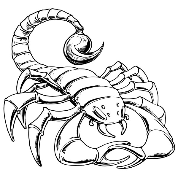 Тату знак зодиака Скорпион