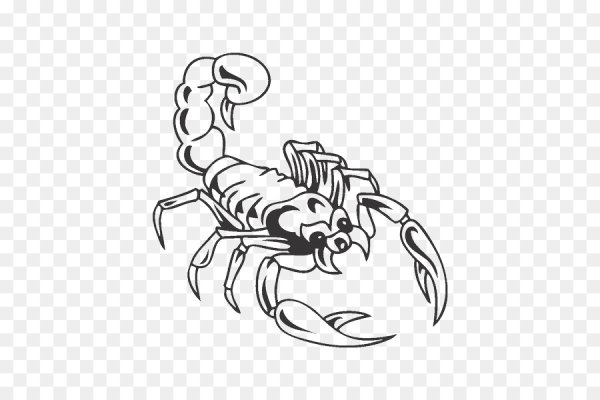 Татуировка Скорпион эскизы