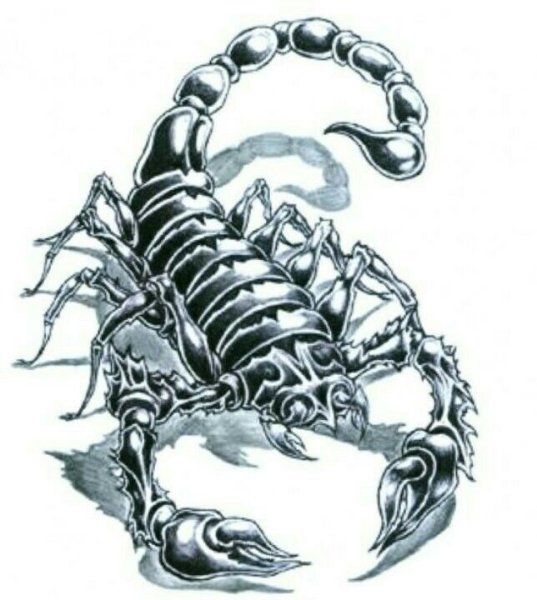 Скорпион символика