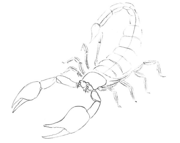 Скорпион с мечом тату