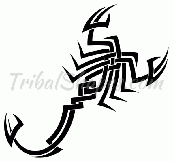 Татуировка Скорпион эскизы