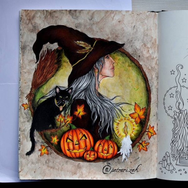 Hanna Karlzon Witches