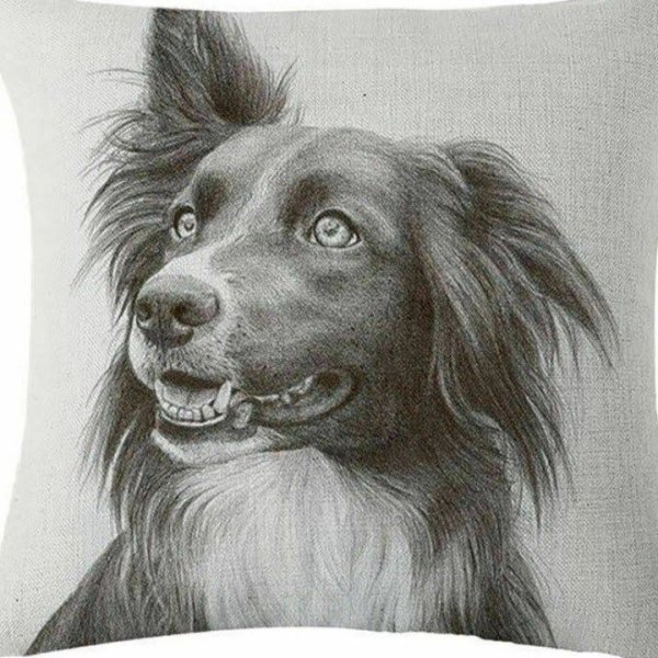 Собака большая лохматая карандаш