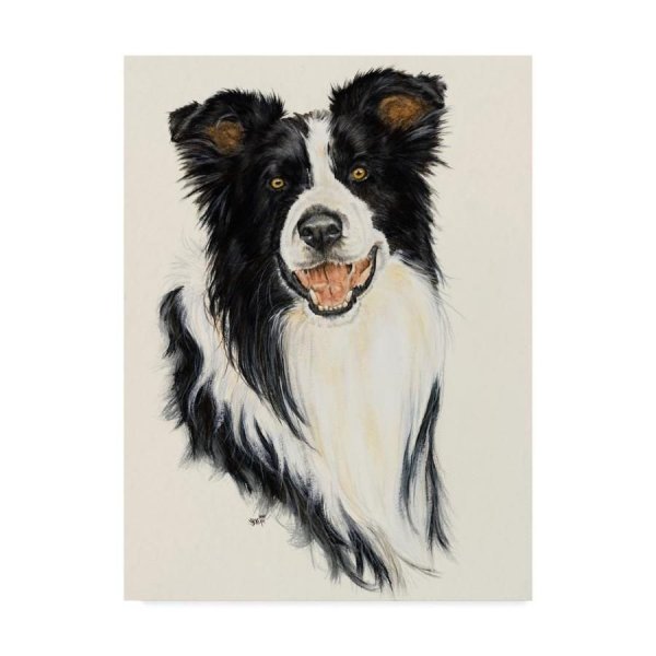 Бордер колли рисунок