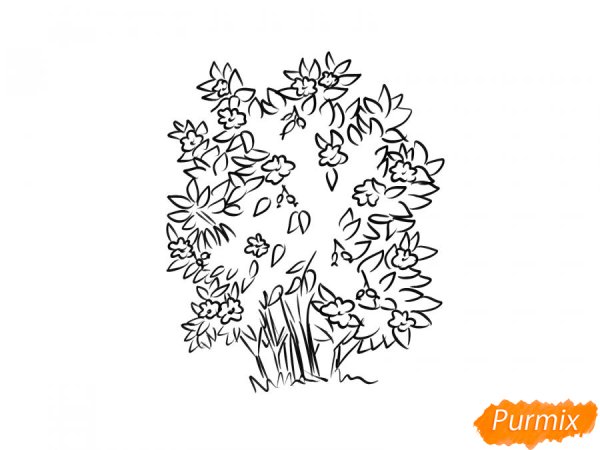 Куст раскраска