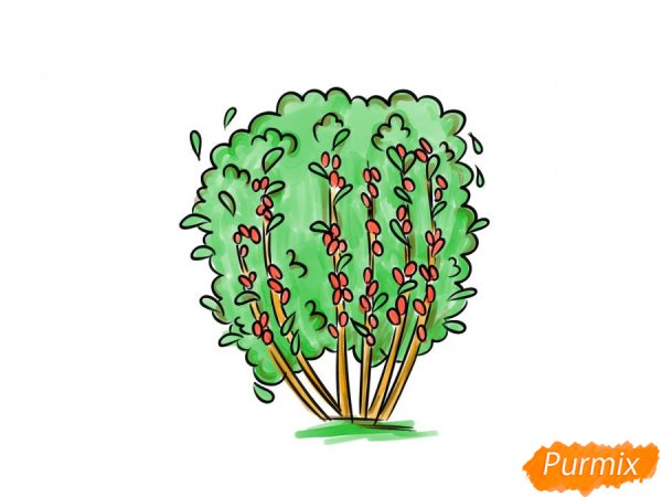 Кустарник рисунок