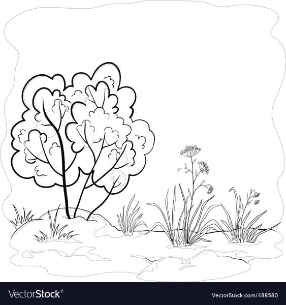 Куст раскраска для детей