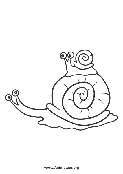 Улитка рисунок