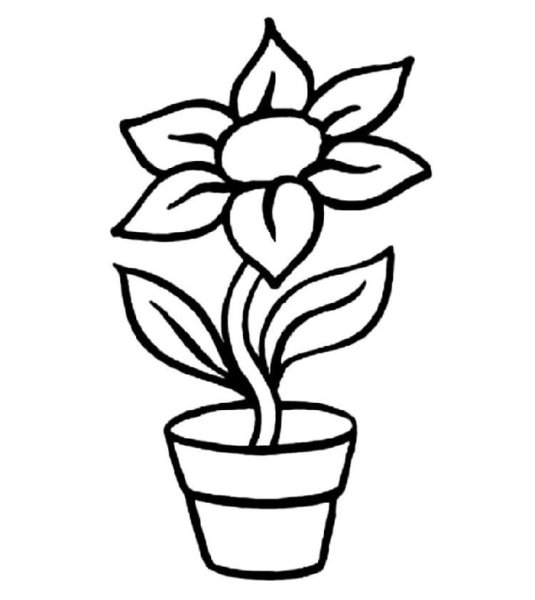 Поэтапное рисование комнатного цветка в горшке