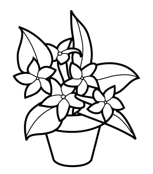 Ландыш раскраска для детей