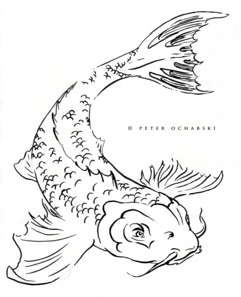 Сом карандашом