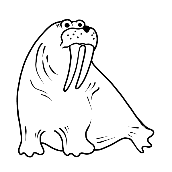 Морж раскраска