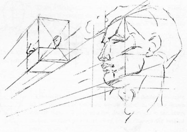 Голова в перспективе построение