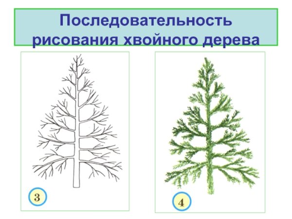Ель раскраска