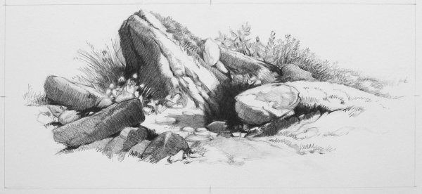 Зарисовки первоплановых элементов пейзажа